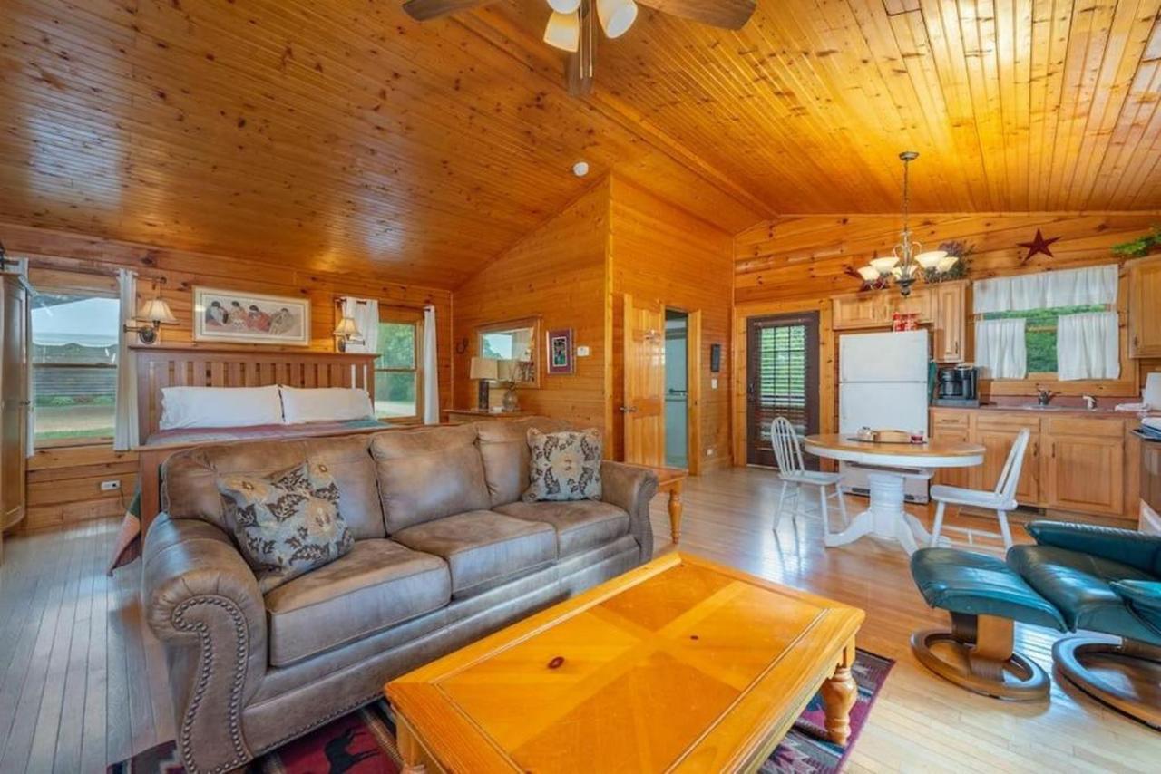 Candler Log Cabin Stunning Mountain Views On 12 Acres מראה חיצוני תמונה