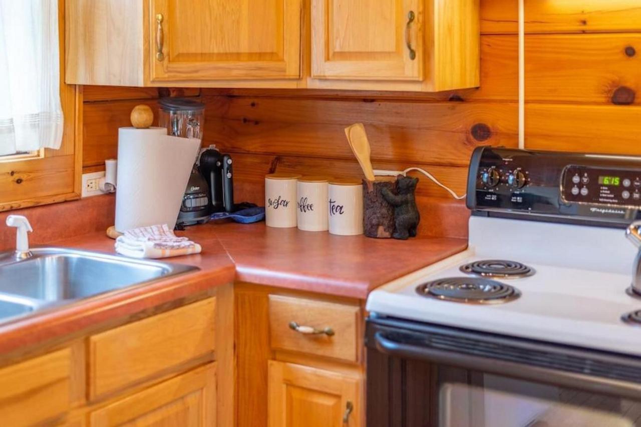 Candler Log Cabin Stunning Mountain Views On 12 Acres מראה חיצוני תמונה