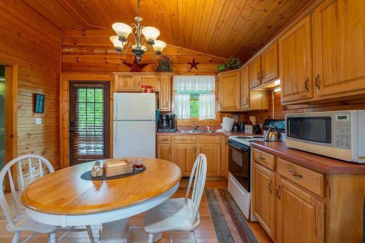 Candler Log Cabin Stunning Mountain Views On 12 Acres מראה חיצוני תמונה