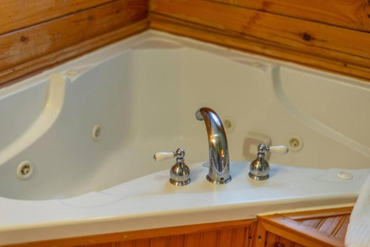 Candler Log Cabin Stunning Mountain Views On 12 Acres מראה חיצוני תמונה